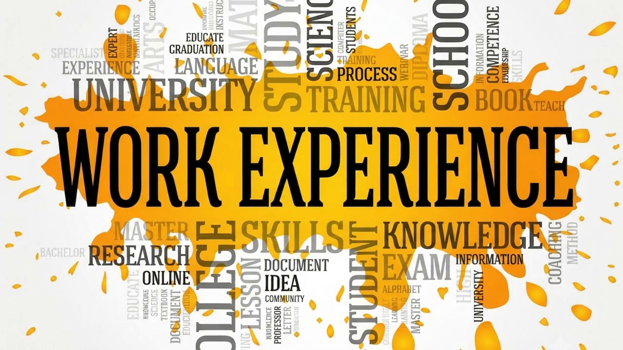 Work Experience banner